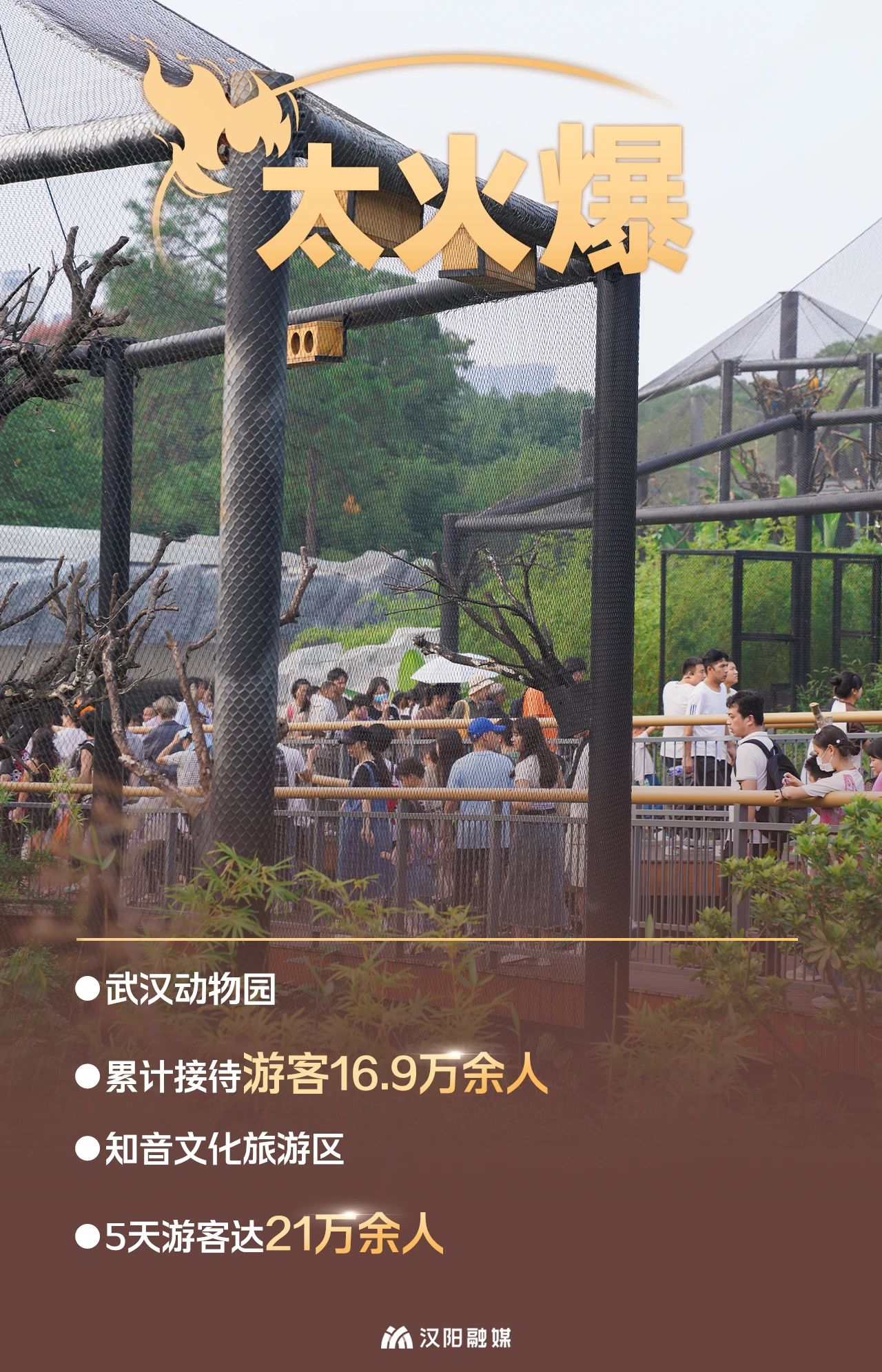 汉阳要闻 - 武汉市汉阳区人民政府门户网站